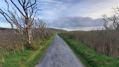 Derrynane House park