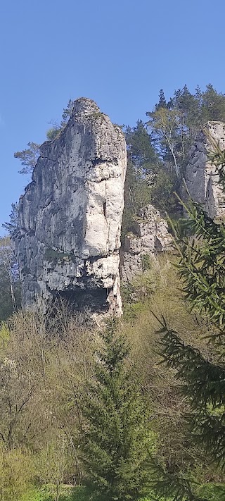 Ojców i Ojcowski Park Narodowy-Atrakcje, Zwiedzanie, Przewodnicy, Wycieczki