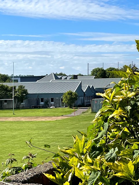 Gaelcholáiste Charraig Uí Leighin