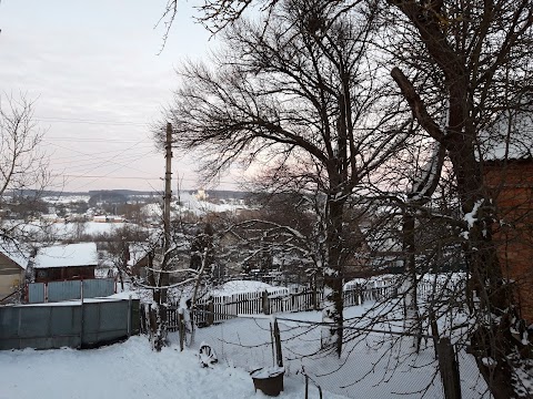 Собор Пресвятої Богородиці