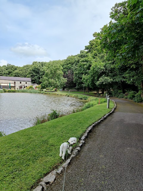 Fota Island Resort Clubhouse Restaurant