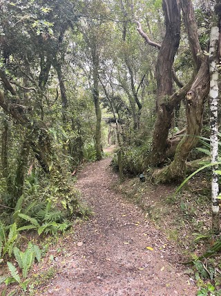 Orokonui Lagoon Walk