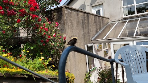 Ardmore Gallery and Tearoom