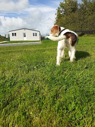 Country Club Kennels