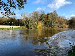 Bishops Meadows swimming area