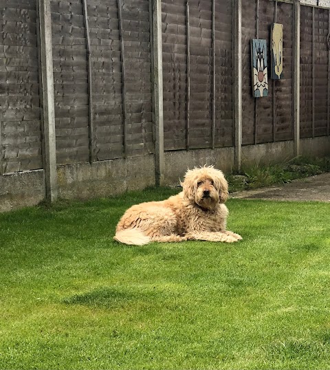 La Belle Chien Canine Groomer