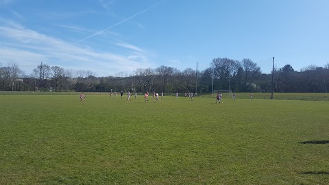 Carrigaline GAA Club