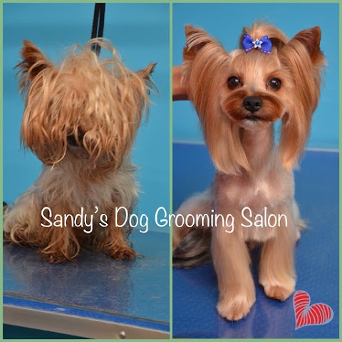 Sandy’s Dog Grooming Salon