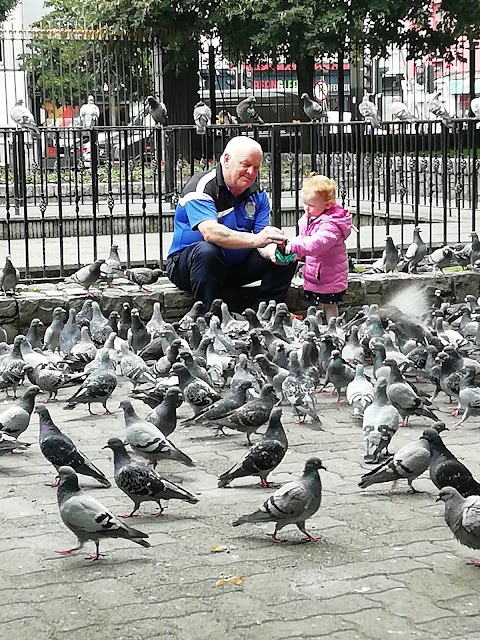 Bishop Lucey Park