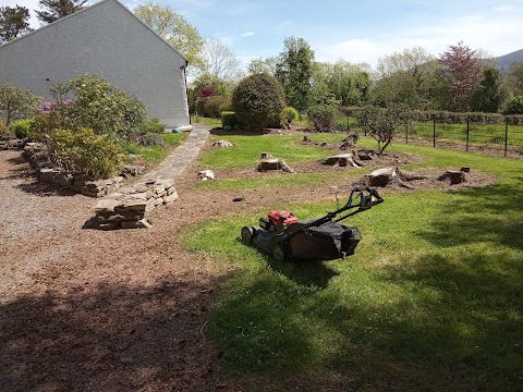 Matthew Carolan Gardening