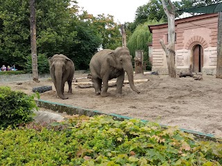 ZOO Wrocław sp.z o.o.