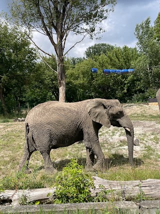 Gra terenowa „Zoomanji. Przygoda w ZOO”