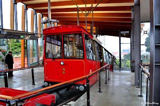 Wellington Cable Car