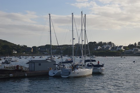 Whale Watch West Cork