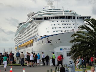 Cruise Tours Tauranga