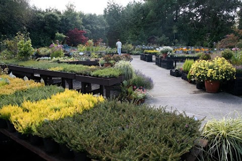 Liscahane Nursery and Garden Centre