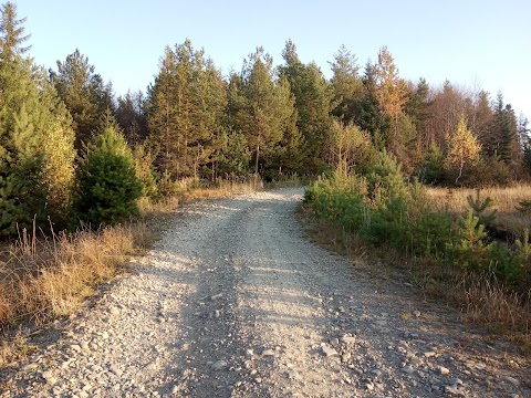 Спасо-Преображенський Скит