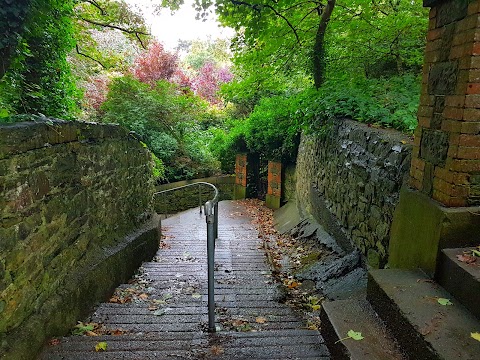 The Doneraile Walk