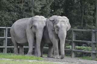 Ogród Zoologiczny w Krakowie