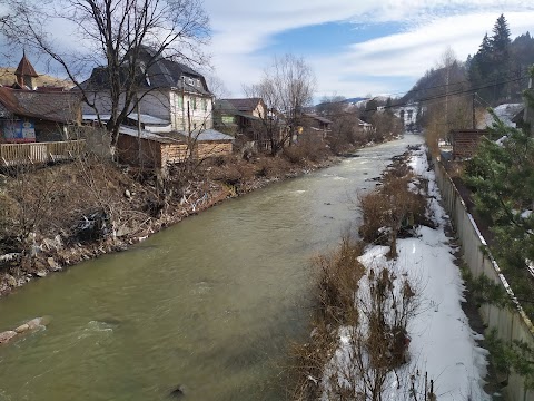 АС Ясіня, ПрАТ Закарпатавтотранс