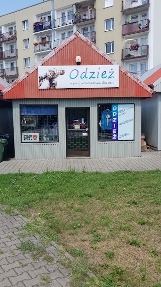 Odzież