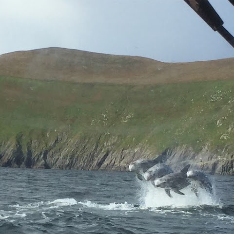 The Great Blasket Island Experience