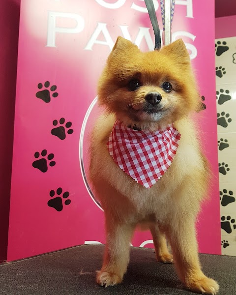 Posh Paws Dog Grooming Salon