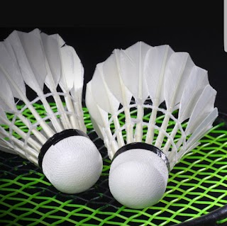 Kingdom Castleisland Badminton Club