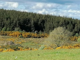 Connemara Eco Skills Training