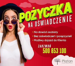 Biuro Kredytowe Platan