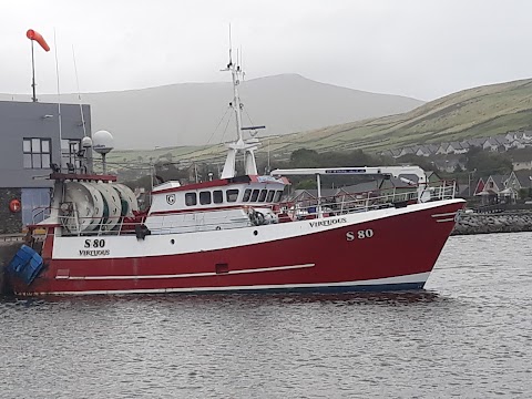 The Dingle Wheelhouse