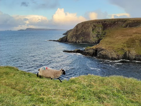 Erris Head Loop Walk