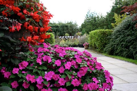 Liscahane Nursery and Garden Centre