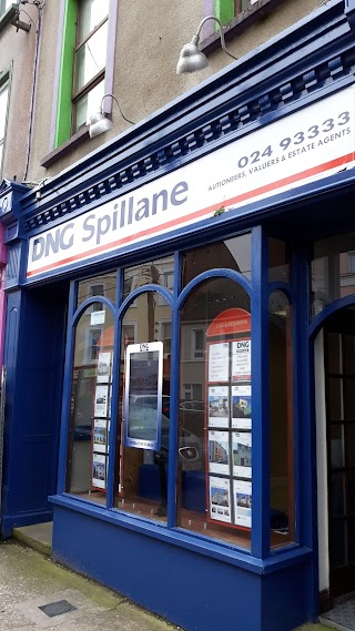 DNG Spillane