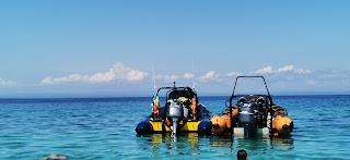 Wild Galway Boat Tours