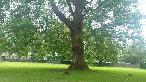 Lifford Road Playground