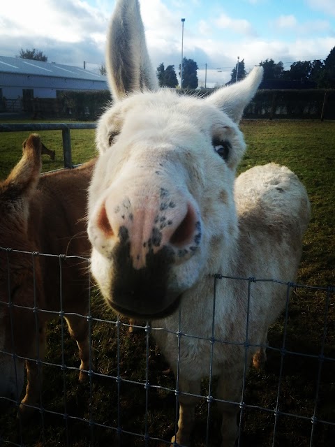 Marlhill Open Farm