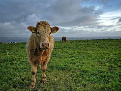 Cliffs of Moher Liscannor Walk