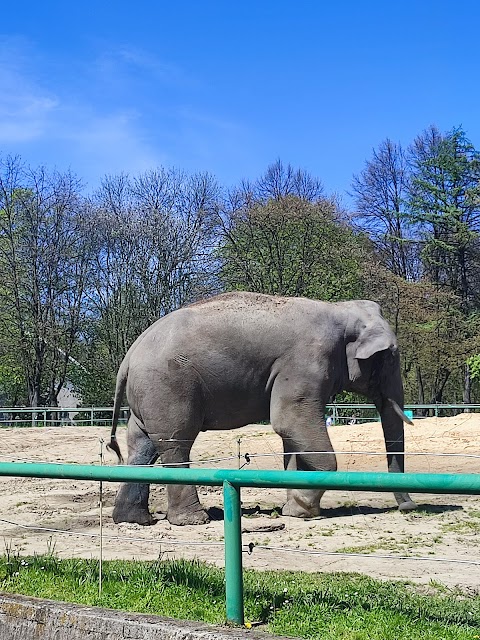 Śląski Ogród Zoologiczny - Kasy biletowe