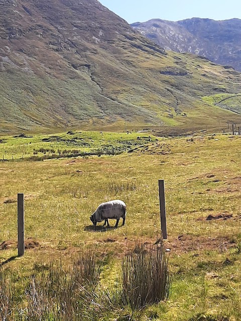 Lough Inagh Ranch