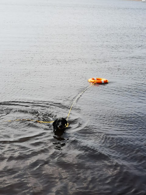 Portumna Swimming Area