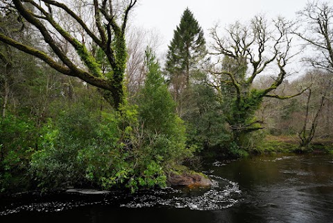 Glengarriff Woods Car Park(Carrchlós Coiltte Gleann Garbh)