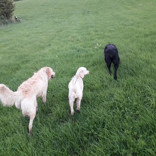 Bantry Boarding Kennels