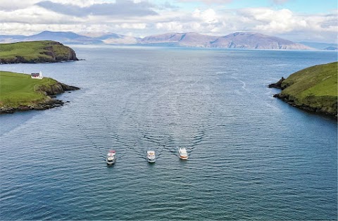 Dingle Dolphin Boat Tours