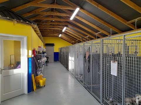 Riverview Boarding Kennels and Cattery