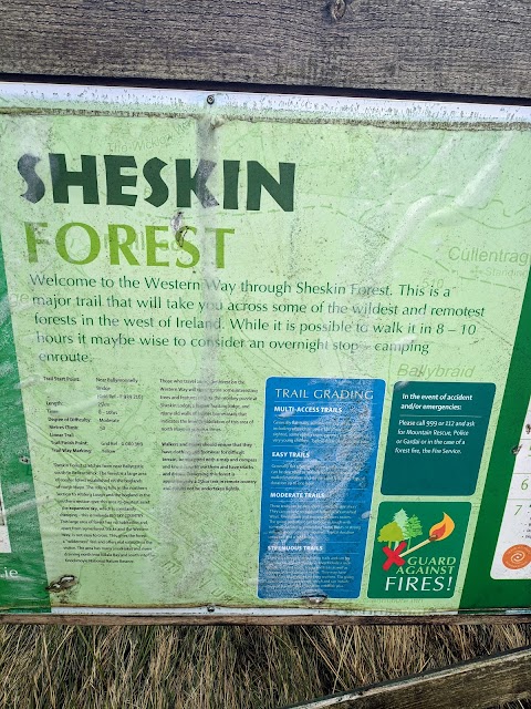 Sheskin forest trail