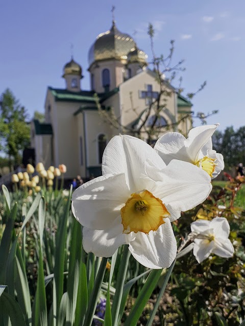 Храм Різдва Христового УПЦ (Московський патріархат)