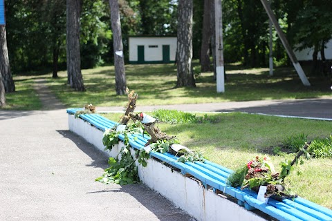 ПОЗАМІСЬКИЙ ДИТЯЧИЙ ЗАКЛАД ОЗДОРОВЛЕННЯ ТА ВІДПОЧИНКУ ДЖЕРЕЛЬЦЕ