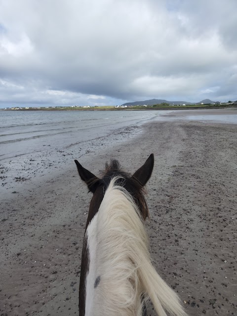 SEA VIEW EQUESTRIAN