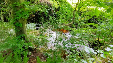 Riverside Walk